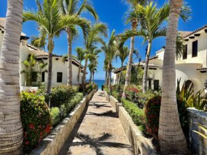 Cabo Luxury Amaterra Casa Endless Summer is a fully furnished two bedroom condo in Amaterra with fantastic rental history and is totally turn-key. Not only will you get a move-in ready condo, but also immediately take over a proven income producing rental asset. Well located, Casa Endless Summer is just a 10 minute drive to the marina and less than a 10 minute walk to Medano Beach. Relax in comfort with 24/7 security, heated rooftop pool with ocean – Condo Zen Living, San Jose del Cabo, San Jose del Cabo, BS